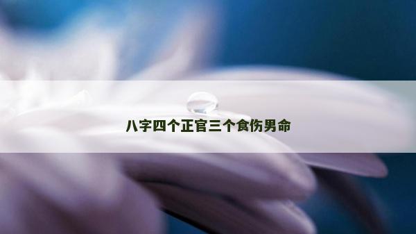 八字四個正官三個食傷男命