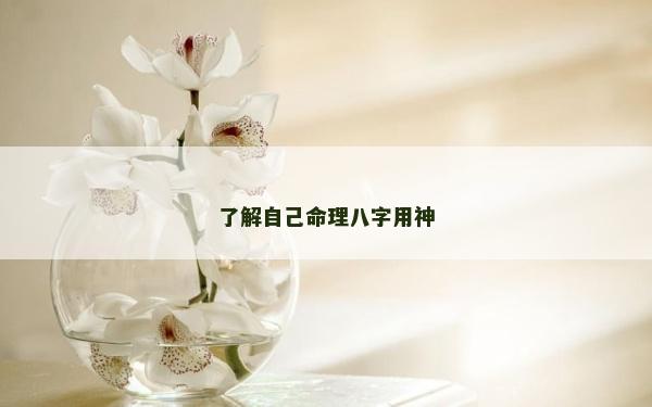 了解自己命理八字用神