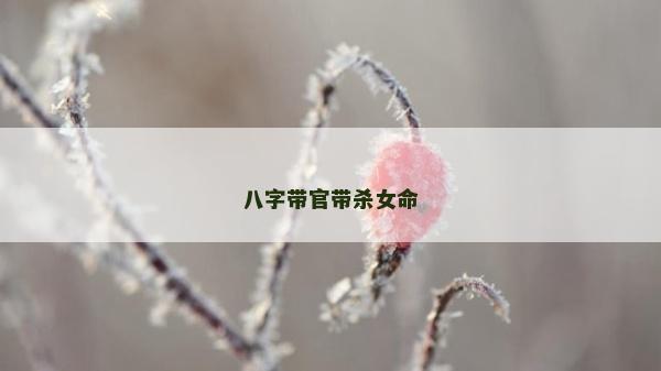 八字帶官帶殺女命