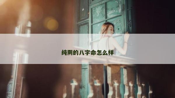 純陰的八字命怎么樣