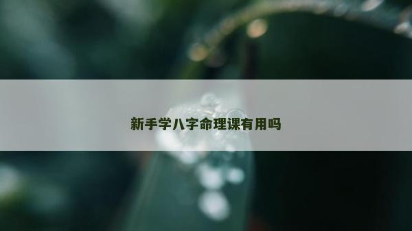 新手學八字命理課有用嗎 新手學八字命理課有用嗎