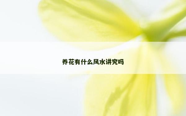 養花有什么風水講究嗎