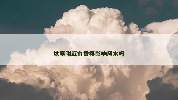 墳?zāi)垢浇邢愦挥绊戯L(fēng)水嗎