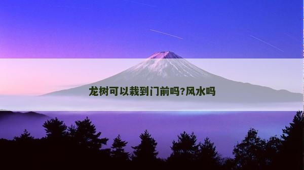龍樹可以栽到門前嗎?風水嗎