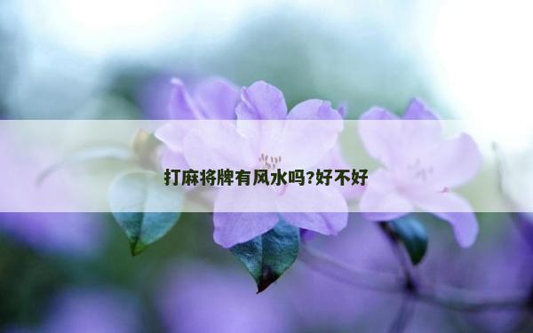 打麻將牌有風(fēng)水嗎?好不好