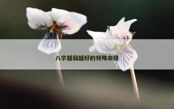 八字越弱越好的特殊命格 八字越弱越好的特殊命格