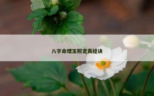 八字命理玉照定真經訣