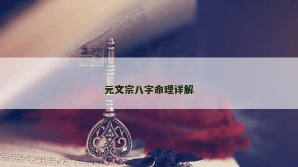 元文宗八字命理詳解