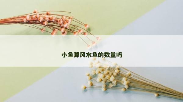 小魚算風水魚的數量嗎