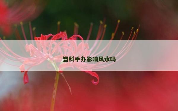 塑料手辦影響風水嗎