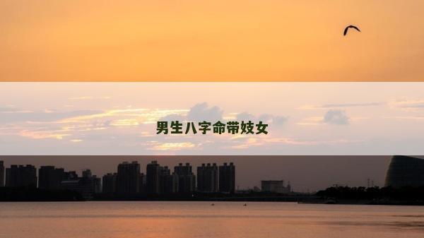 男生八字命帶妓女