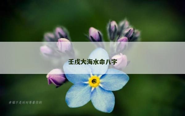壬戌大海水命八字