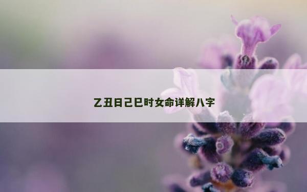 乙丑日己巳時女命詳解八字