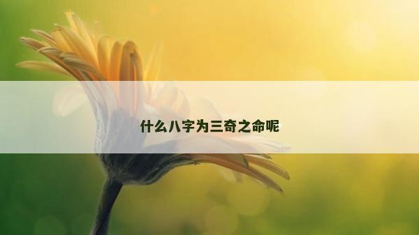 什么八字為三奇之命呢