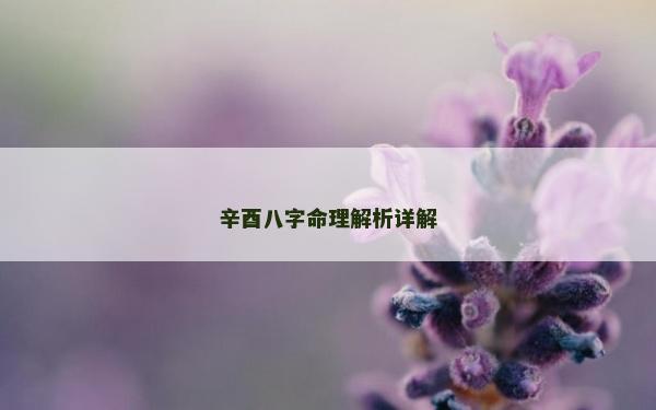 辛酉八字命理解析詳解