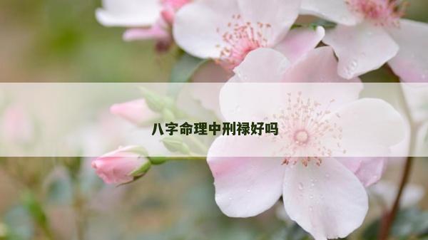 八字命理中刑祿好嗎
