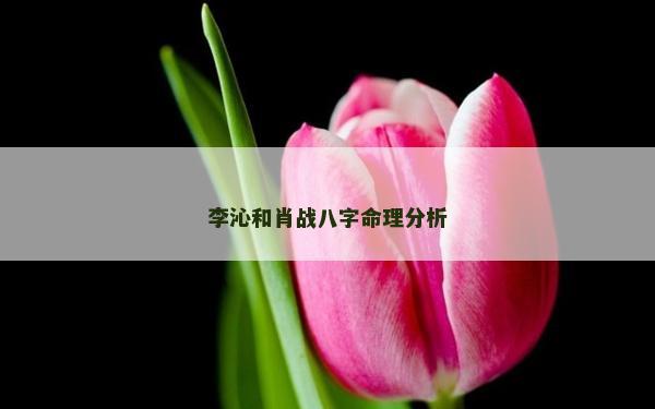 李沁和肖戰(zhàn)八字命理分析 李沁和肖戰(zhàn)八字命理分析