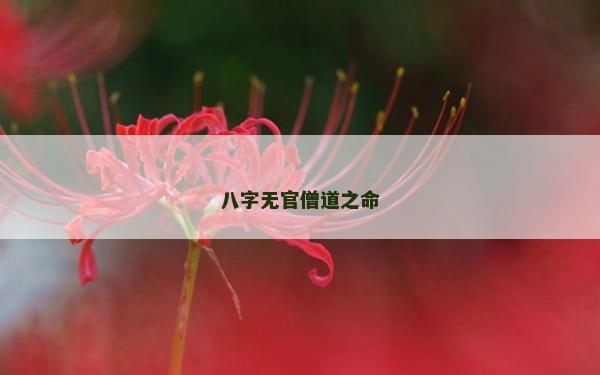 八字無官僧道之命