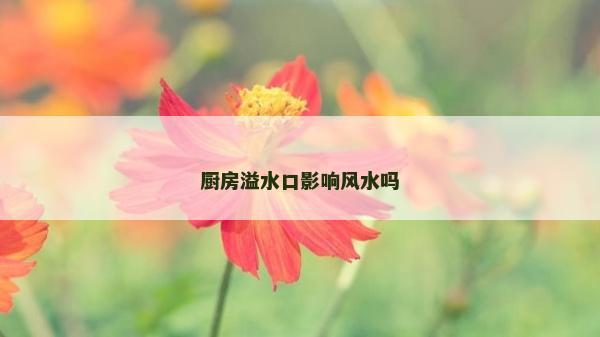 廚房溢水口影響風水嗎