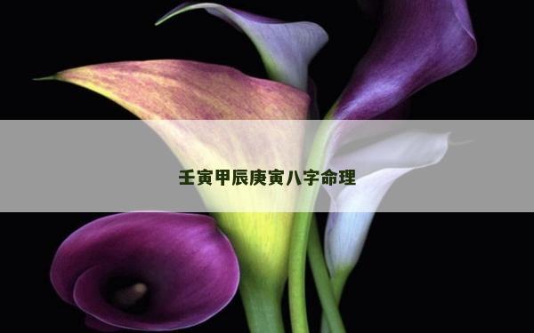 壬寅甲辰庚寅八字命理