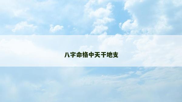 八字命格中天干地支