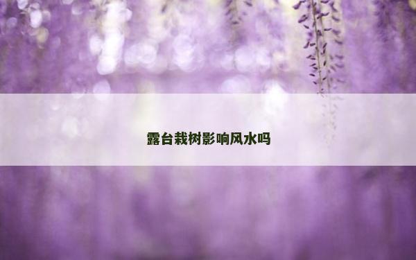 露臺栽樹影響風(fēng)水嗎