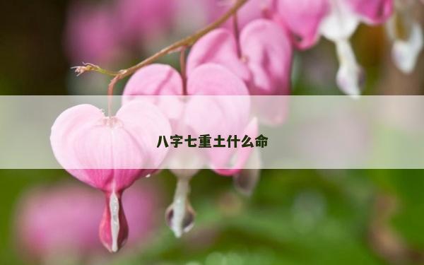 八字七重土什么命