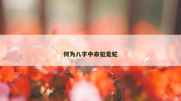 何為八字中命犯龍蛇