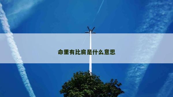 命里有比肩是什么意思