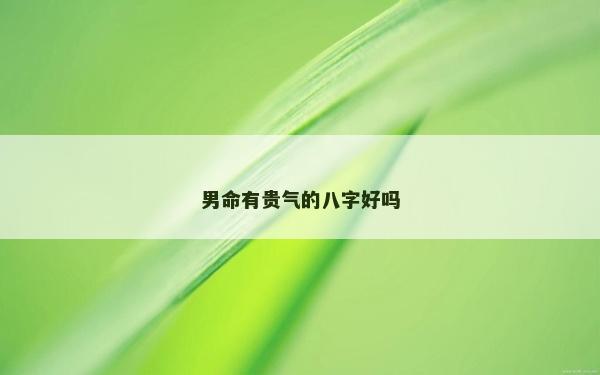 男命有貴氣的八字好嗎