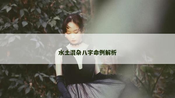 水土混雜八字命例解析