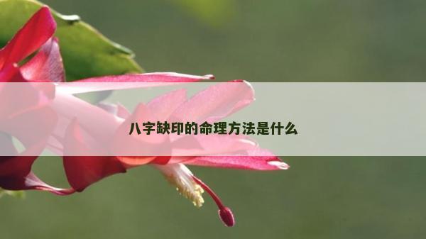 八字缺印的命理方法是什么