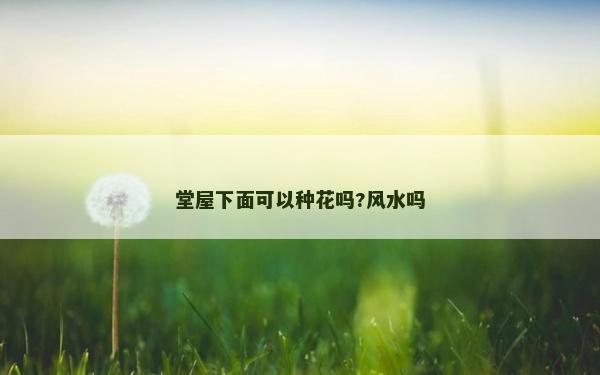 堂屋下面可以種花嗎?風(fēng)水嗎