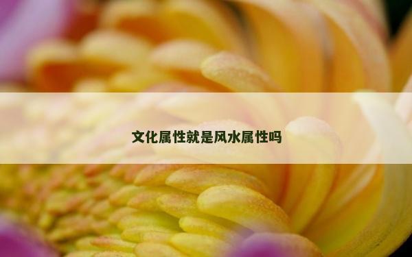 文化屬性就是風水屬性嗎 文化屬性就是風水屬性嗎