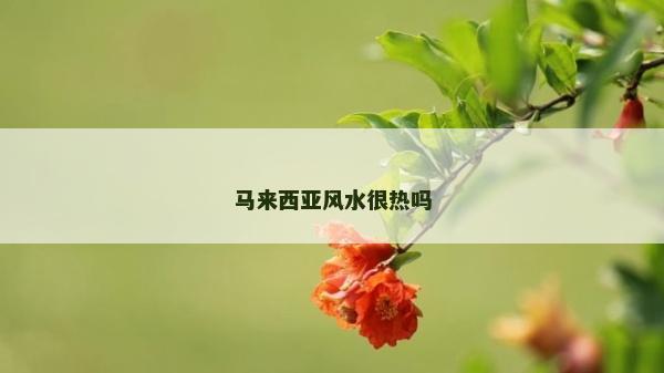 馬來西亞風(fēng)水很熱嗎