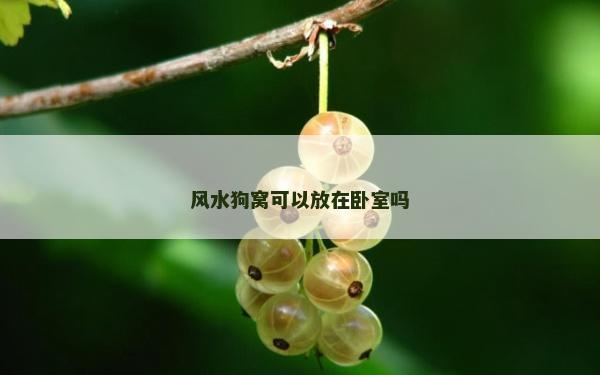 風水狗窩可以放在臥室嗎