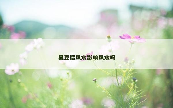 臭豆腐風水影響風水嗎