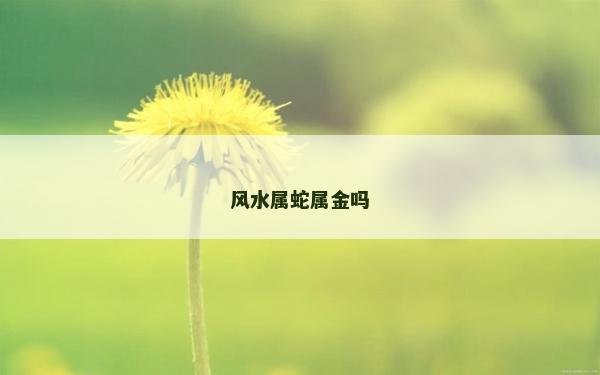 風水屬蛇屬金嗎