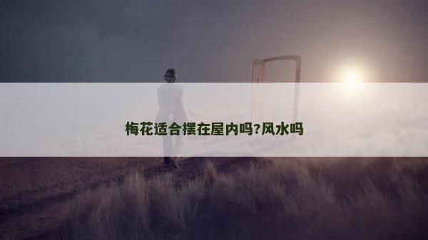 梅花適合擺在屋內嗎?風水嗎