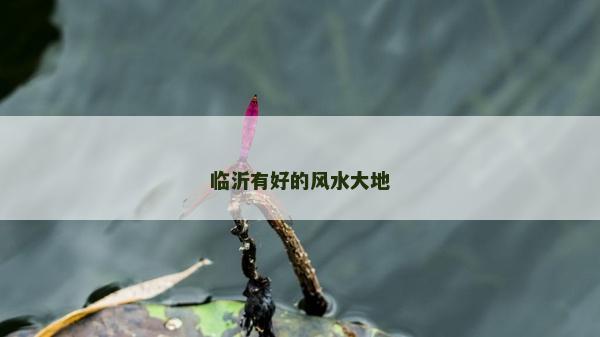 臨沂有好的風水大地