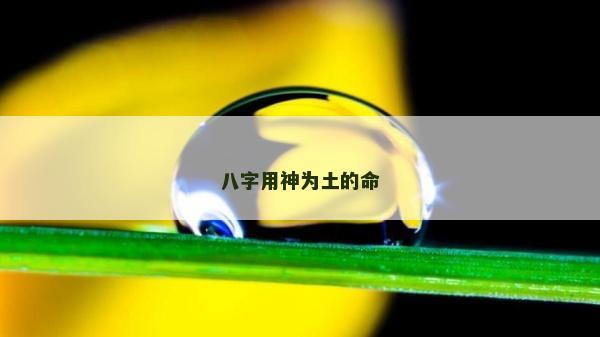 八字用神為土的命