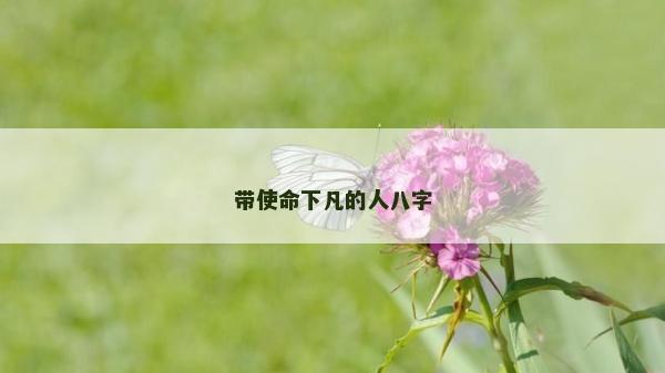 帶使命下凡的人八字