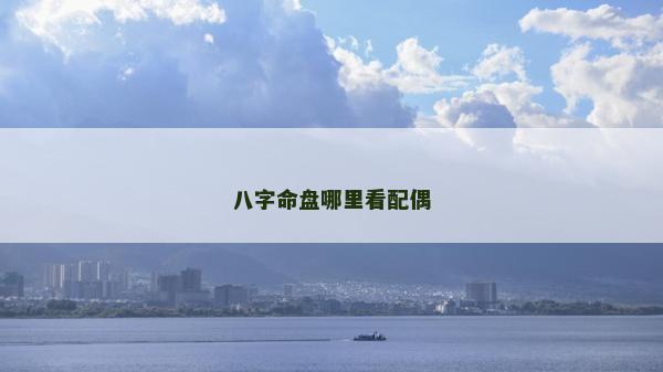 八字命盤哪里看配偶