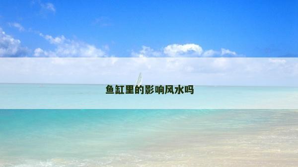 魚缸里的影響風水嗎