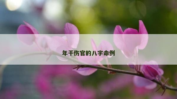 年干傷官的八字命例