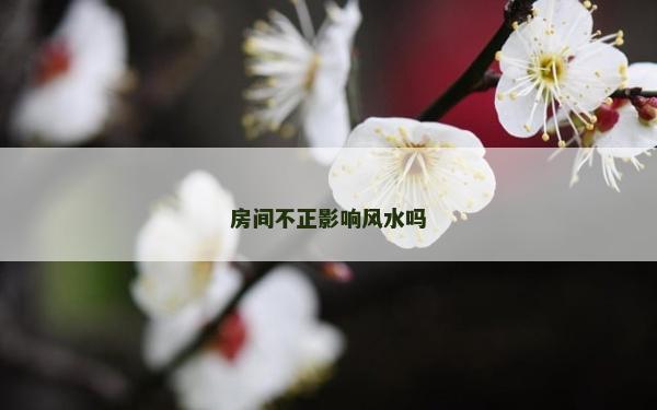 房間不正影響風水嗎