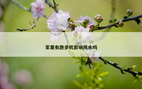 家里有跑步機影響風水嗎