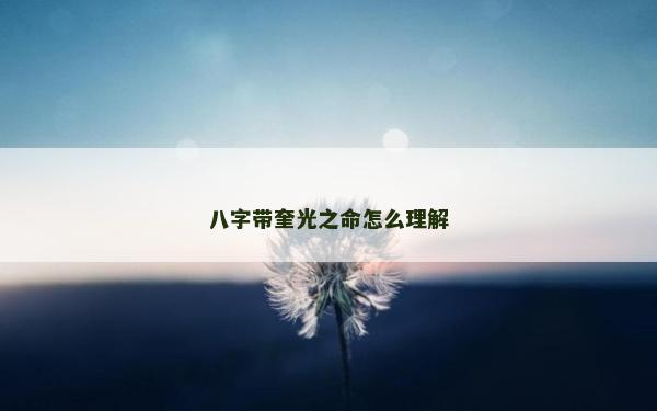 八字帶奎光之命怎么理解