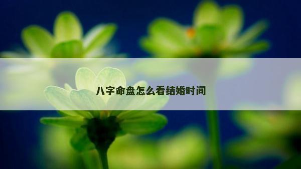 八字命盤怎么看結(jié)婚時(shí)間