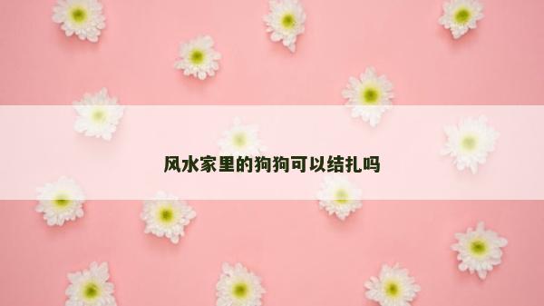 風水家里的狗狗可以結扎嗎 風水家里的狗狗可以結扎嗎